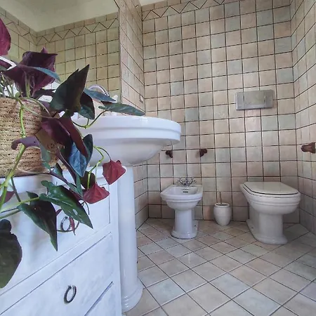 La Tomatica In Commedia *